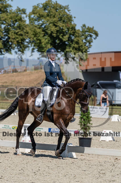 Kronenberg - De Peelbergen (August 2020)