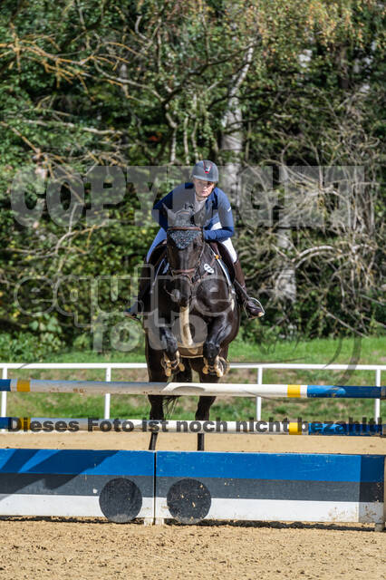 RFV Dinslaken-Hiesfeld (Herbstturnier)