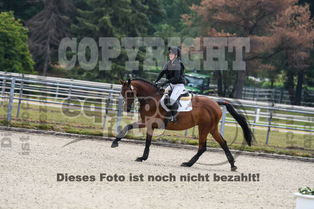 Late-Entry-Vielseitigkeit Langenfeld (11.+13./14.06.2020)