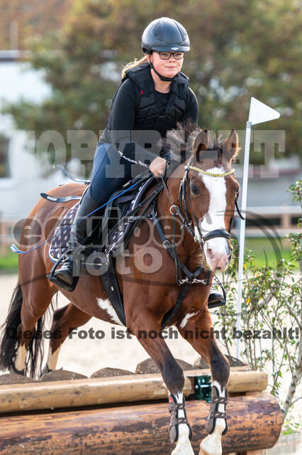 IGV Lehrgang der Sieger der Cups mit Frank Ostholt