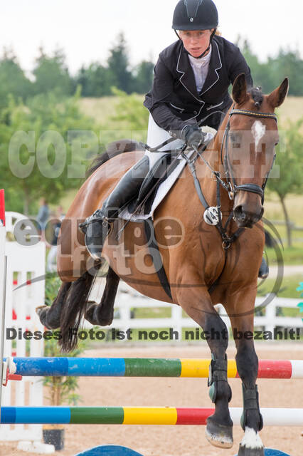 DJM Vielseitigkeit 2019, Kreuth