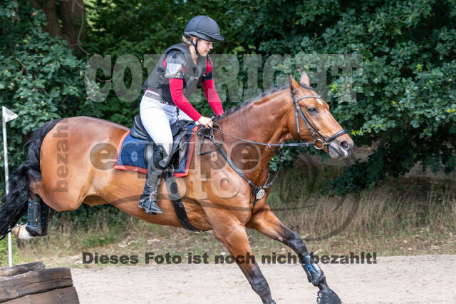 Late-Entry-Vielseitigkeit Langenfeld (11.+13./14.06.2020)