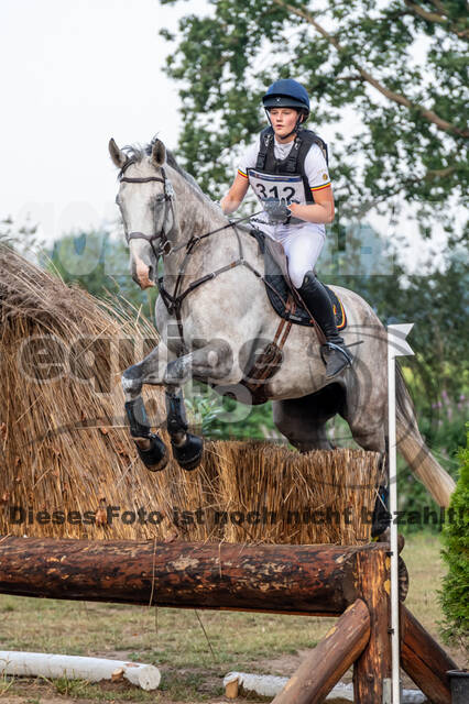De Peelbergen (August 2020)