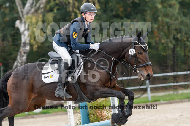 Goldene Schärpe 2020 - Pferde