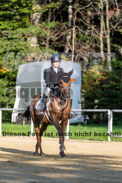 RFV Dinslaken-Hiesfeld (Herbstturnier)