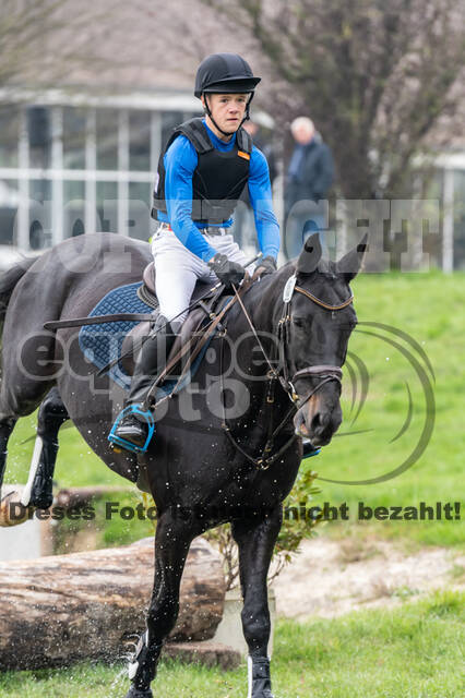 Goldene Schärpe 2020 - Pferde