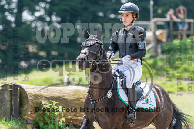 Goldene Schärpe 2021 - Ponys