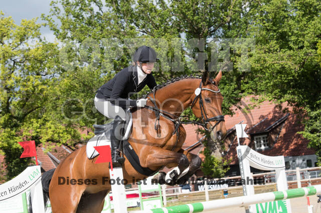 Sterne über Münster 2019 - CCI***S