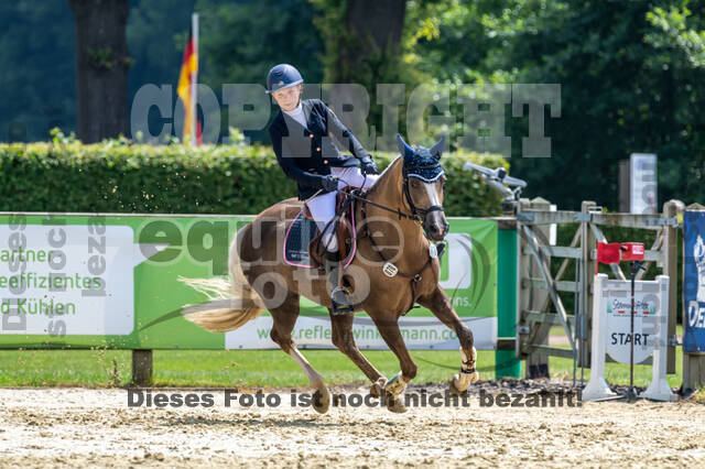 Goldene Schärpe 2021 - Ponys