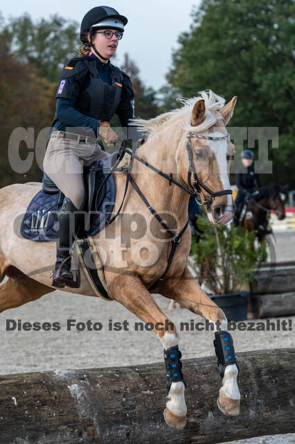 IGV Lehrgang der Sieger der Cups mit Frank Ostholt