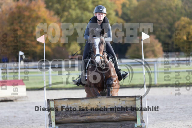 IGV Lehrgang der Sieger der Cups mit Frank Ostholt