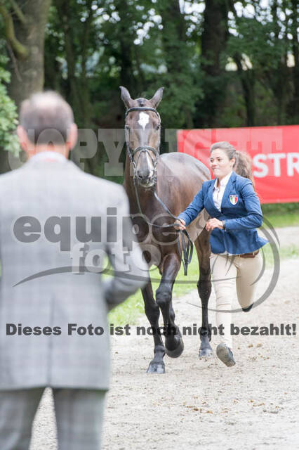 FEI European Championship