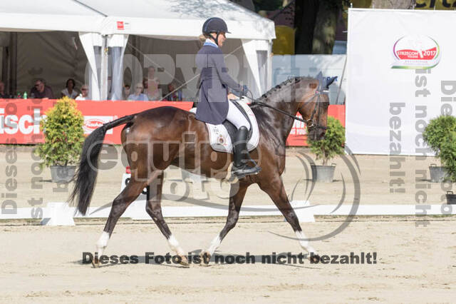 FEI European Championship Eventing 2017