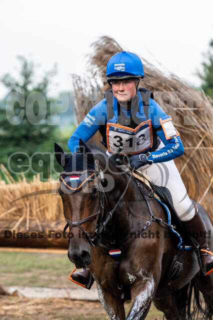 De Peelbergen (August 2020)