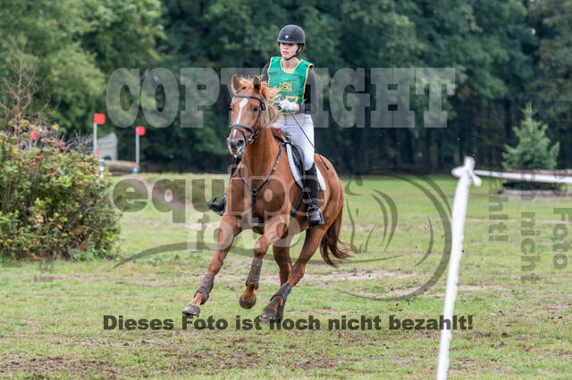 Vielseitigkeit RSV Wesel Obrighoven (26.+27.09.2020)