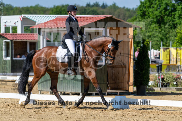Westerstede Horse Trials 2021