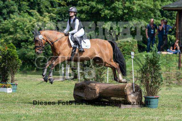 Goldene Schärpe 2021 - Ponys