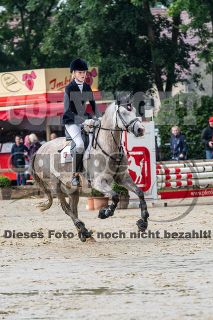 Goldene Schärpe 2021 - Ponys