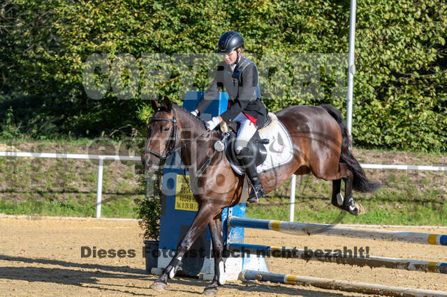 RFV Dinslaken-Hiesfeld (Herbstturnier)