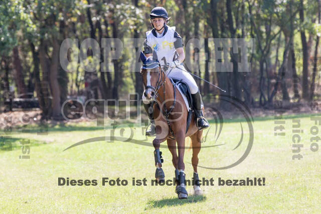 Vielseitigkeitsturnier RSV St. Hubertus Wesel Obrighoven