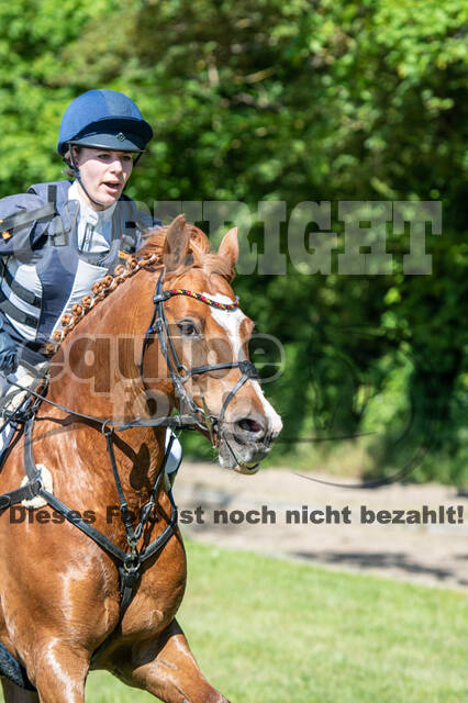 Test of Choise Langenfeld (29.+30.05.2021)