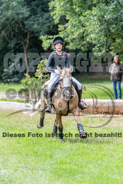 Late-Entry-Vielseitigkeit Langenfeld (06.+07.07.2020)