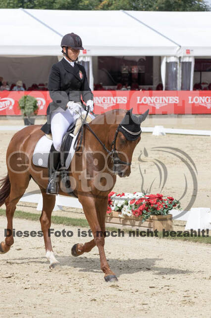 FEI European Championship Eventing 2017