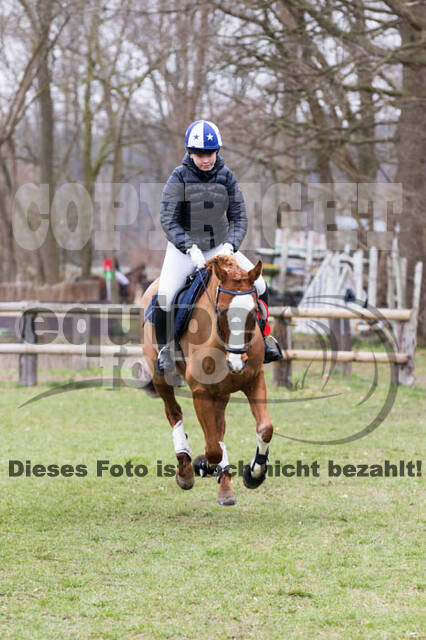 Jungpferdetag Hamminkeln