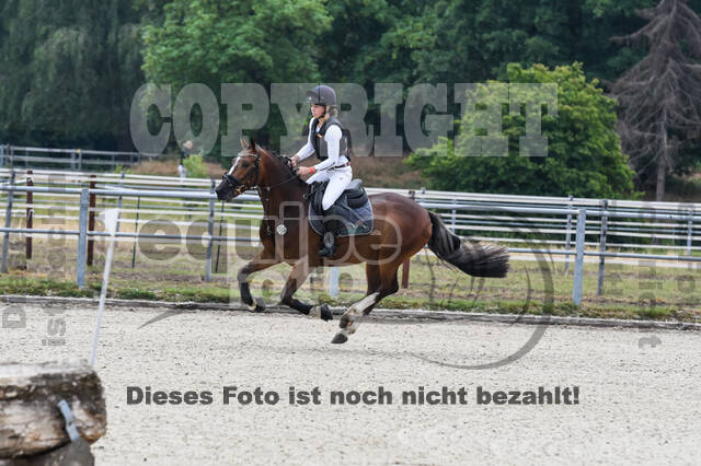 Late-Entry-Vielseitigkeit Langenfeld (11.+13./14.06.2020)