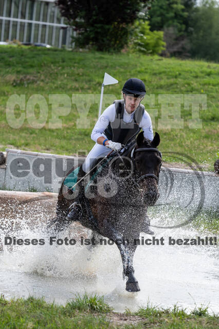 Late-Entry-Vielseitigkeit Langenfeld (06.+07.07.2020)