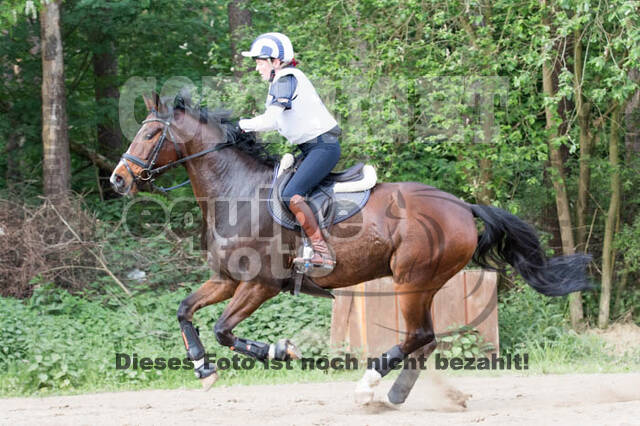 Vielseitigkeitsturnier ZRFV von Lützow Hamminkeln