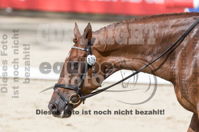 FEI European Championship Eventing 2017