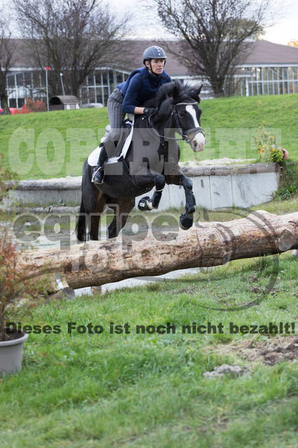 IGV Lehrgang der Sieger der Cups mit Frank Ostholt