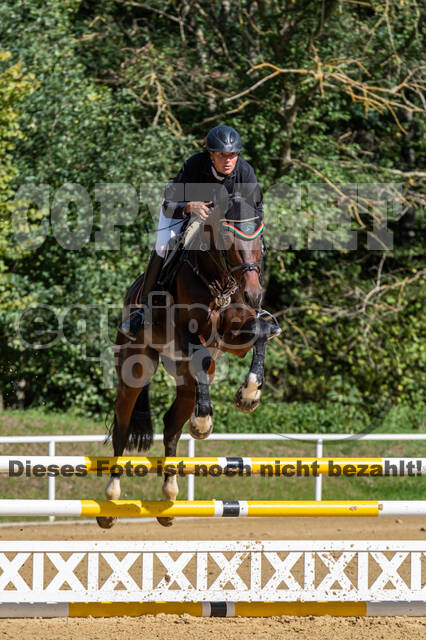 RFV Dinslaken-Hiesfeld (Herbstturnier)