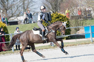 Eventing Langenfeld 2018