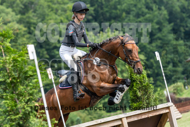 Goldene Schärpe 2021 - Ponys