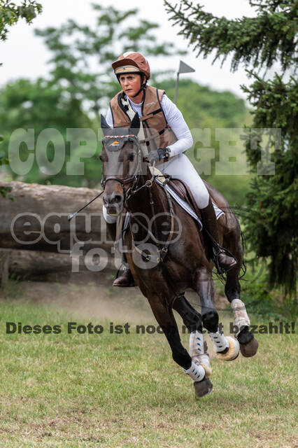 Late-Entry-Vielseitigkeit Langenfeld (11.+13./14.06.2020)