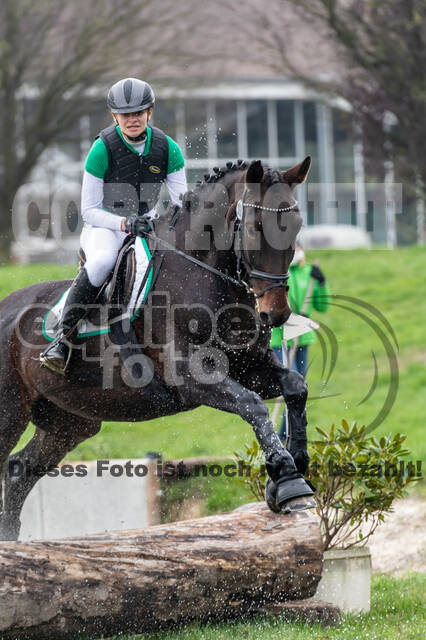 Goldene Schärpe 2020 - Pferde