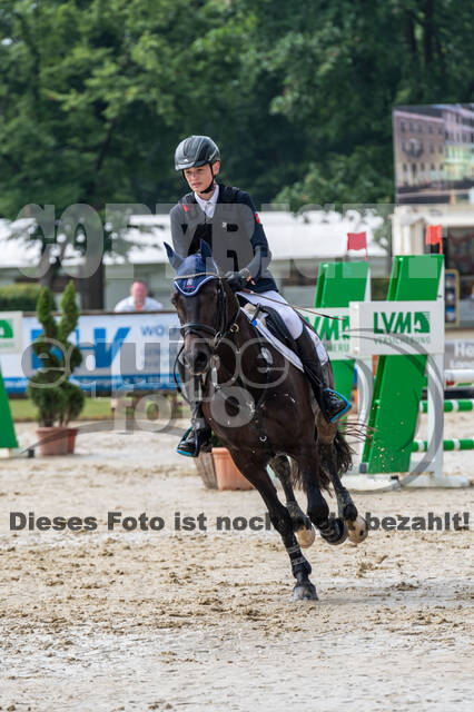 Goldene Schärpe 2021 - Ponys