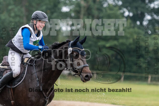 Deutsche Meisterschaft Vielseitigkeit (Luhmühlen)