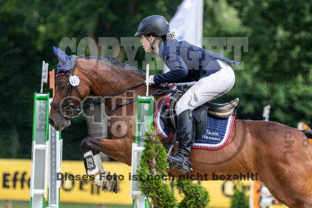 Goldene Schärpe 2021 - Ponys