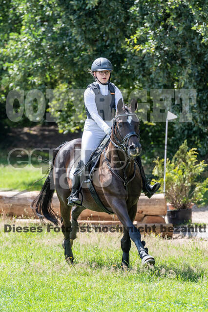 Late-Entry-Vielseitigkeit Langenfeld (06.+07.07.2020)