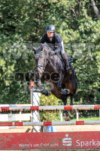 RFV Dinslaken-Hiesfeld (Herbstturnier)