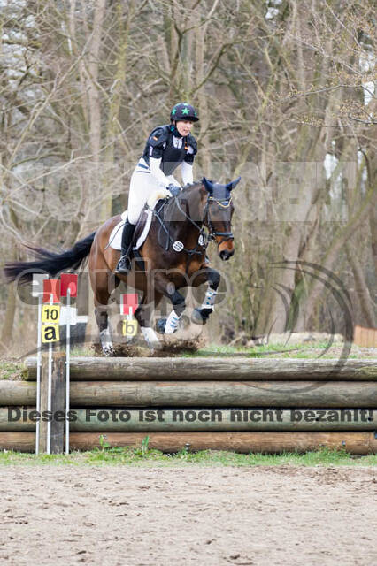 Jungpferdetag Hamminkeln