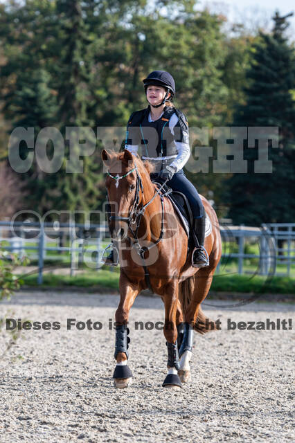 IGV Lehrgang der Sieger der Cups mit Frank Ostholt