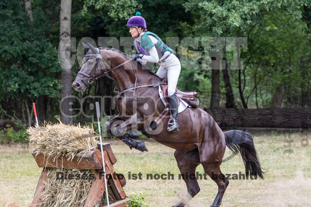 Late-Entry Vielseitigkeit Hamminkeln/Wesel (01.+02.08.2020)