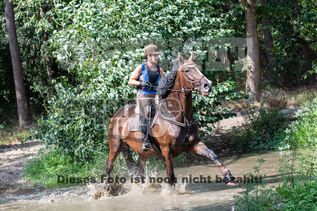 Hunter Geländetraining (16.08.2020)