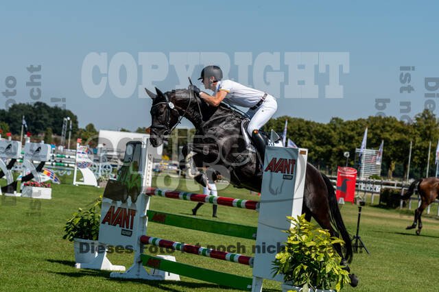 Kronenberg - De Peelbergen (August 2020)