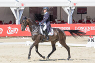 FEI European Championship