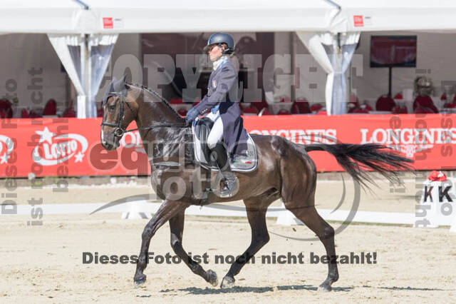 FEI European Championship